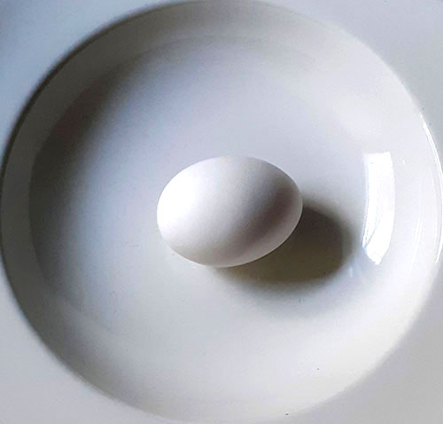 photo_services_MG_oeuf_blan