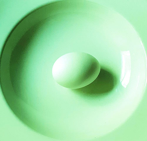 photo_services_MG_oeuf_vert