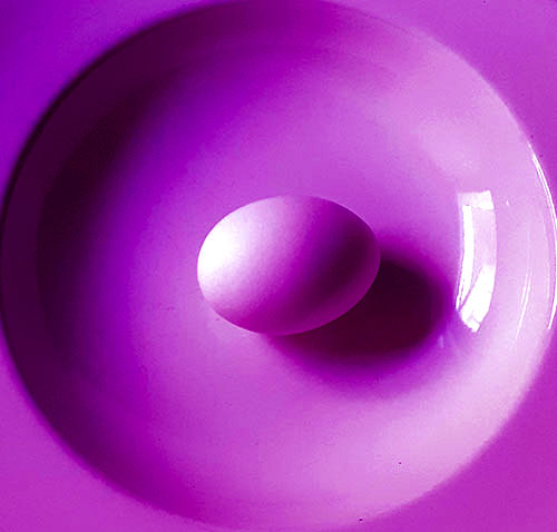 photo_services_MG_oeuf_violet